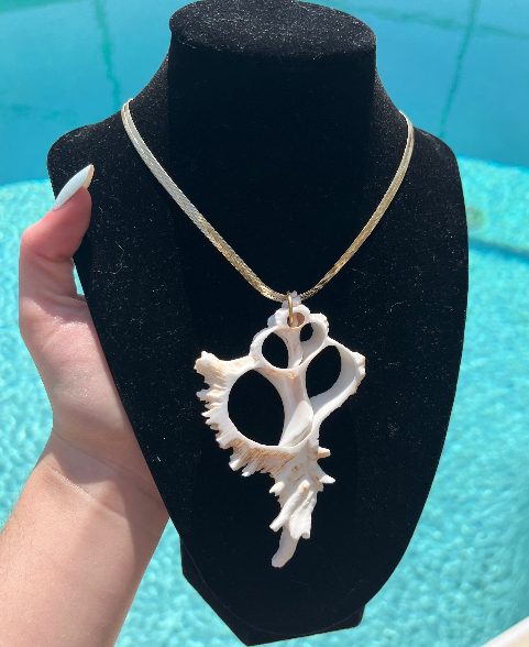 Sliced Conch Chain