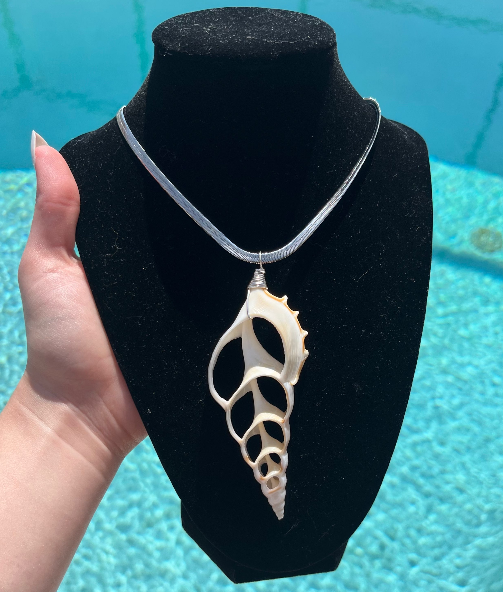 Sliced Spiral Shell Chain